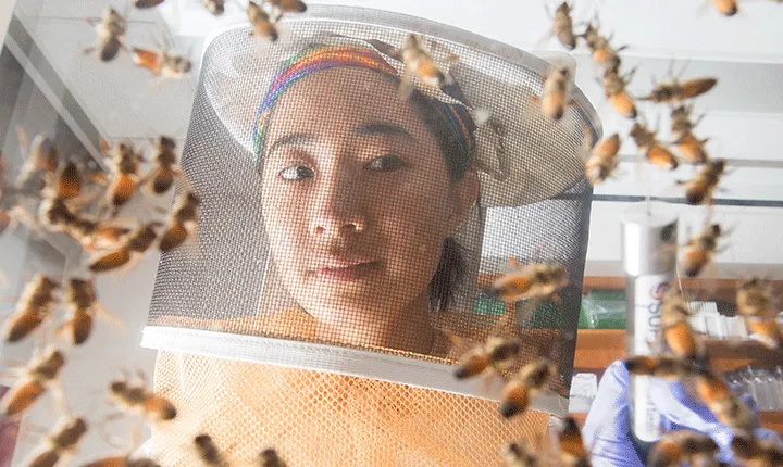 A student in a bee suit studies live specimens