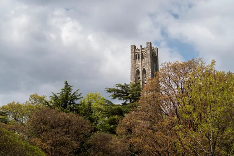 Bell tower in background surrounded by blooming trees