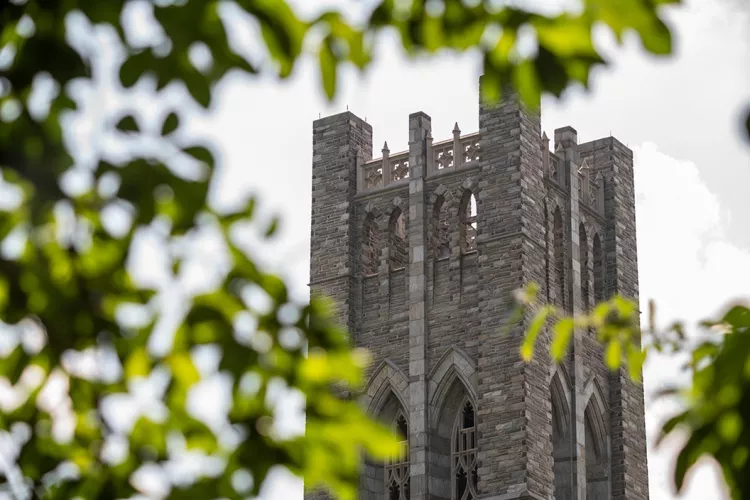 Bell tower in background with blue skies. Green leaves in foreground