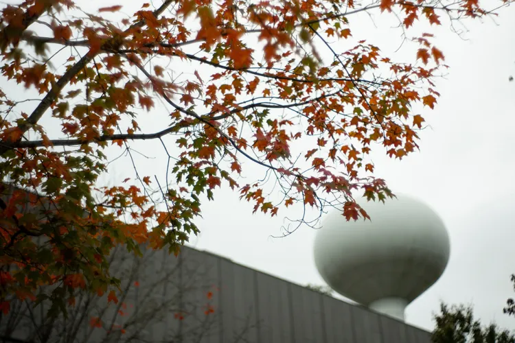 Fall leaves near water tower 