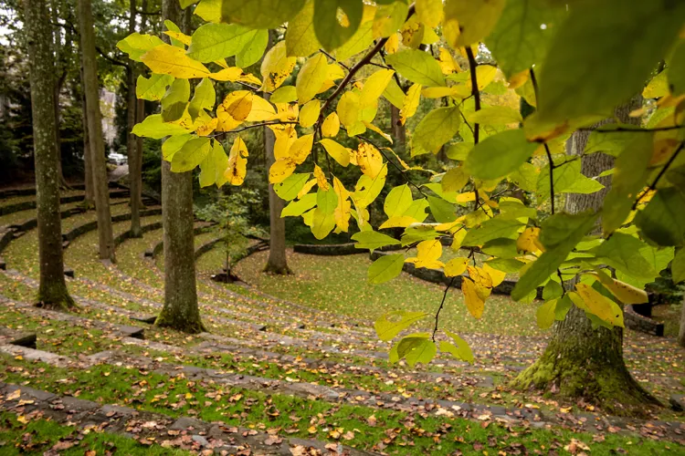 Leaves in amphitheater during fall