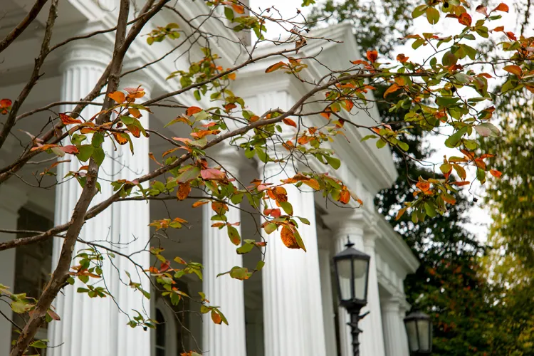 Leaves near Parrish Hall