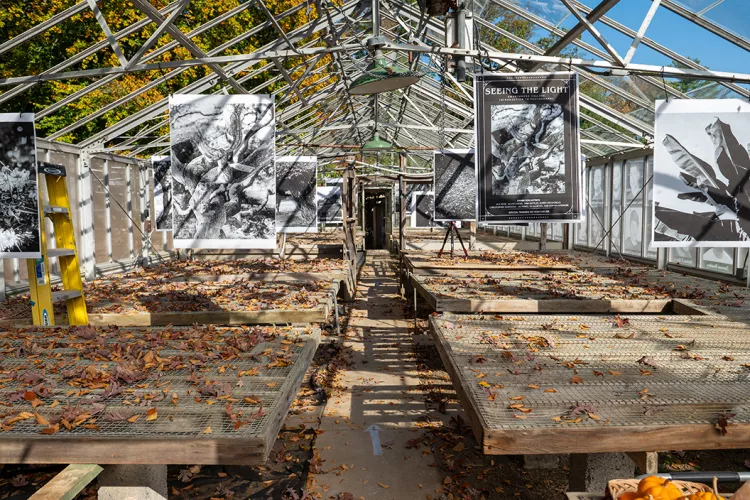 Interior of greenhouse with large photography prints hanging from top