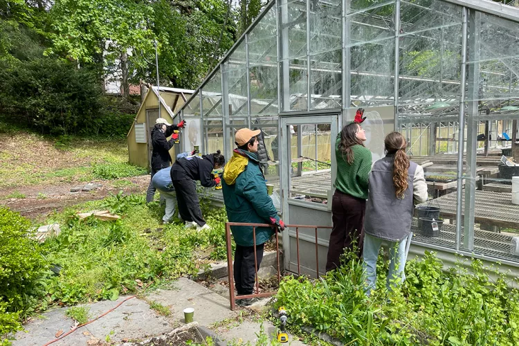 Swarthmore students renovate overgrown greenhouse