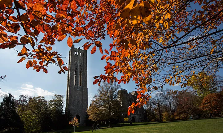 Fall foliage on the campus of Swarthmore College