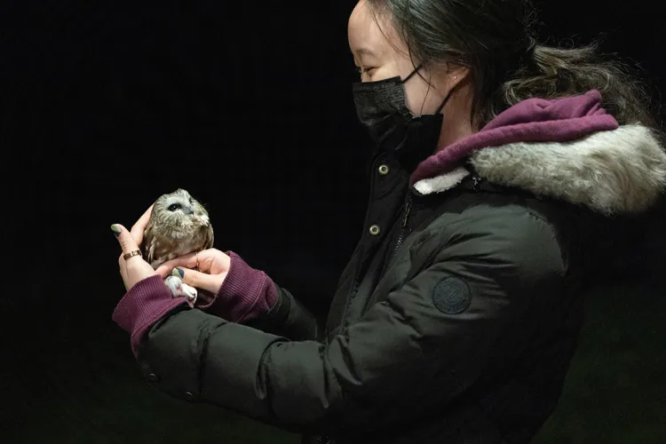 Person holds bird