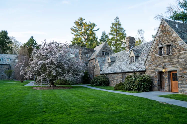 Tree in bloom in background with green lawn in foreground.