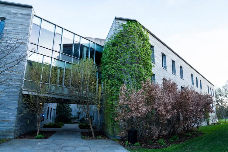 Building with large windows behind trees in full bloom