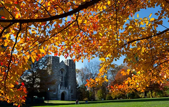 Campus Scene