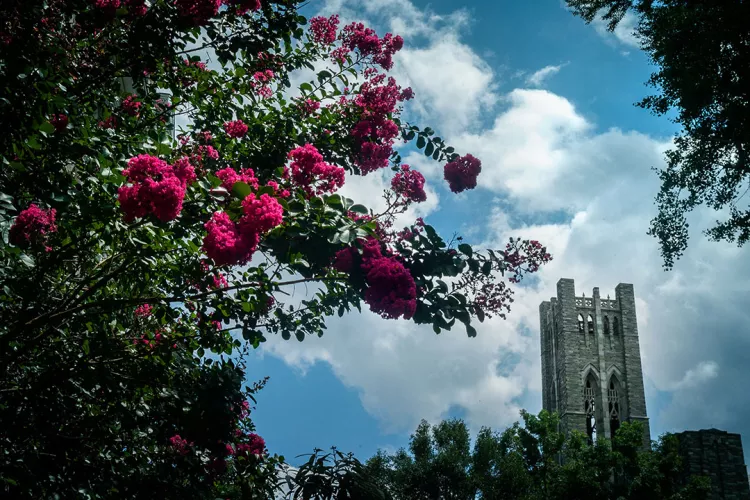 Clothier bell tower against blue sky with clouds. Red flowers in foreground.