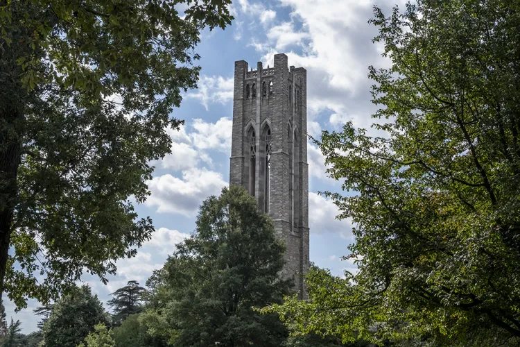 Bell tower in background with blue skies. Green leaves in foreground