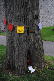 Tree Shrine