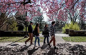 Swarthmore Civic Scholars