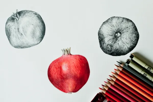 a pen and pencil drawing of an apple