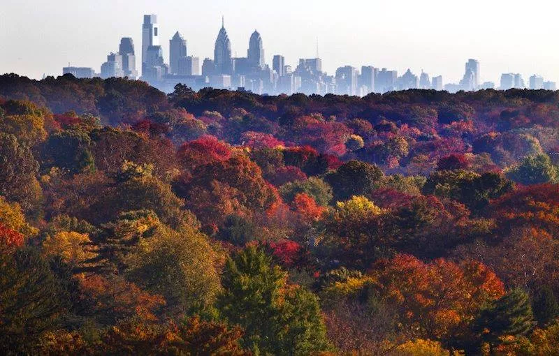 View of Philly