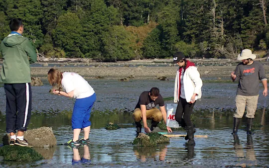 Invert bio field trip 2017