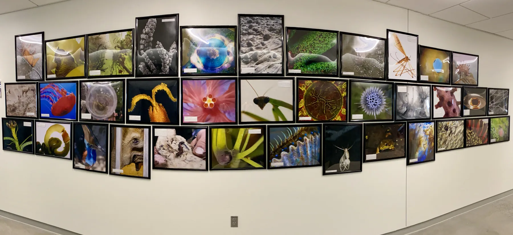 photo award winners displayed in Singer Hall