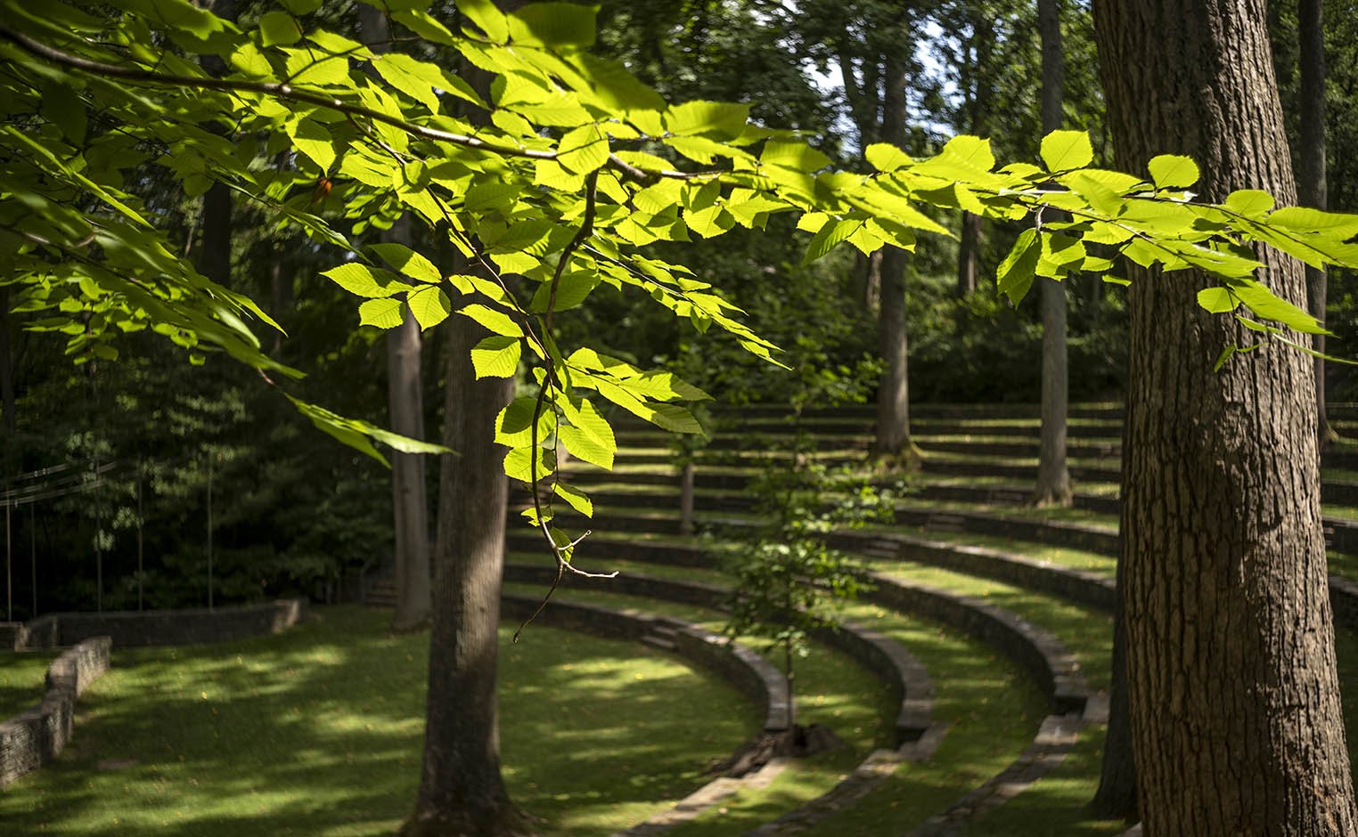 amphitheater in spring time