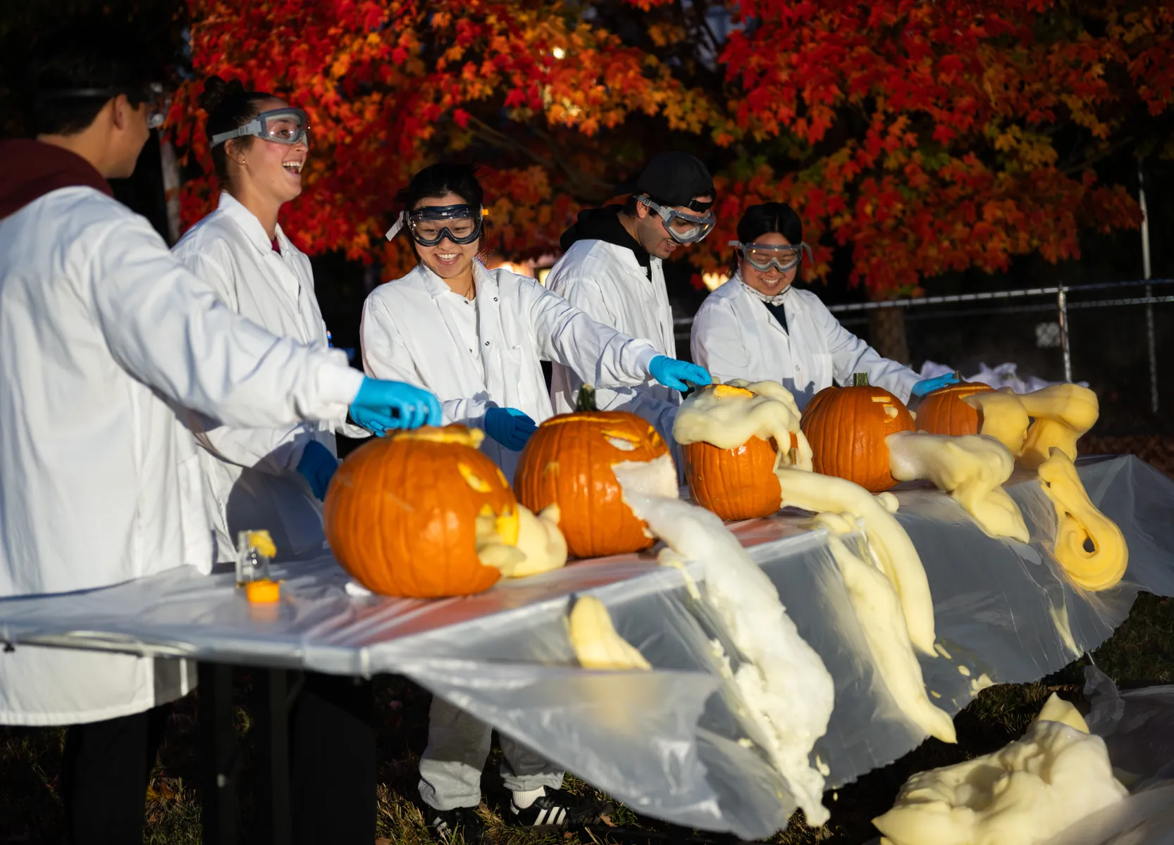 Students standing at table experimenting with carved pumpkins