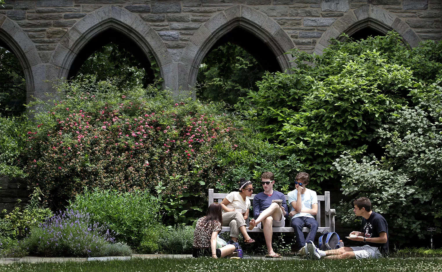 Students in courtyard garden