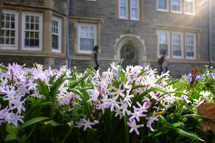 Spring flowers in front of Wharton Hall