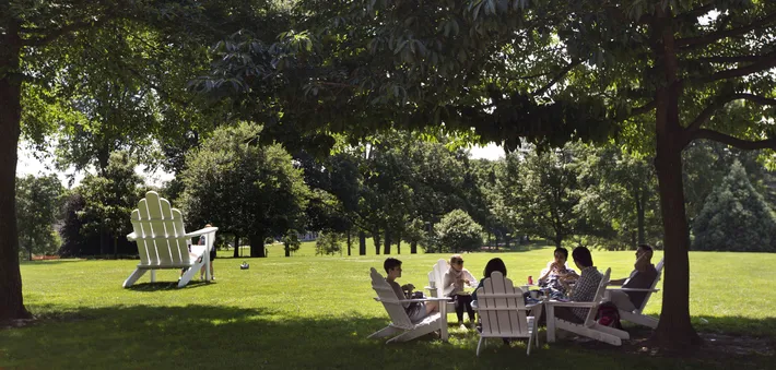 Students in adirondack chairs on Parrish Beach