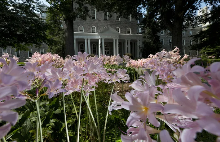 Pink flowers in front of Parrish Hall