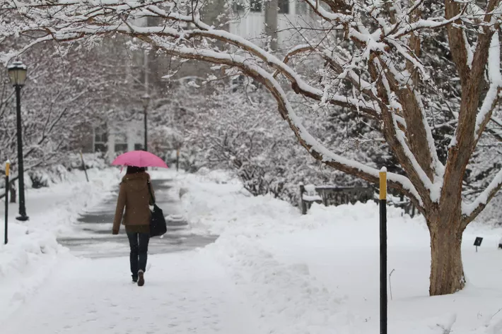 Student walking in snow with pink umbrella