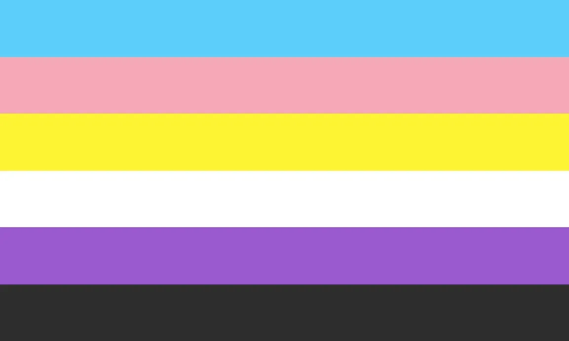 transgender flag and asexual flag colors