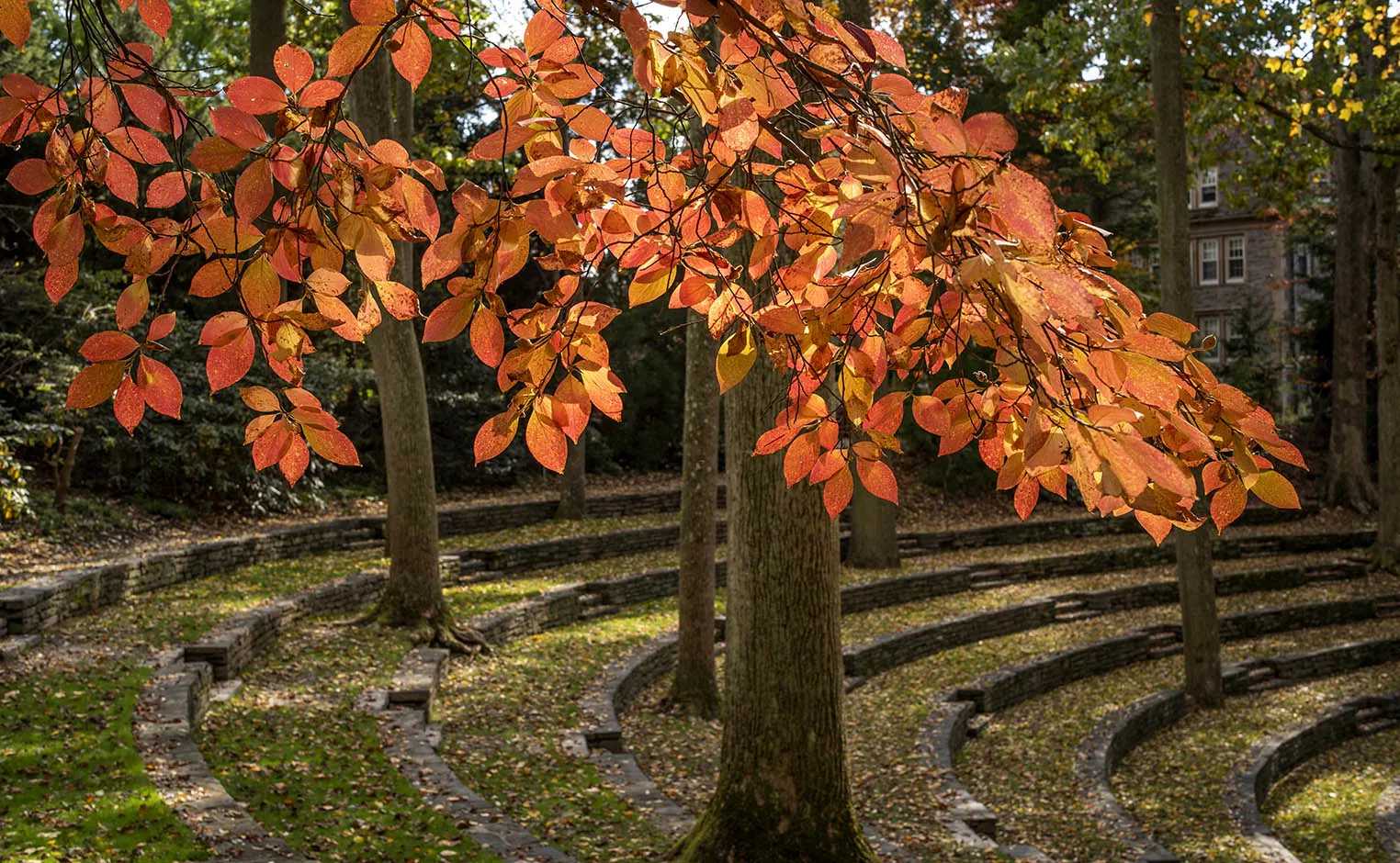 ampitheater in the fall