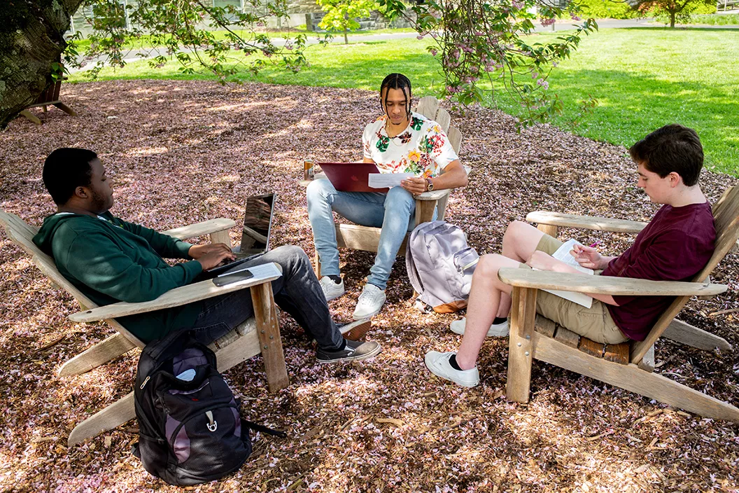 Students sit outside in chairs with flowers on the ground