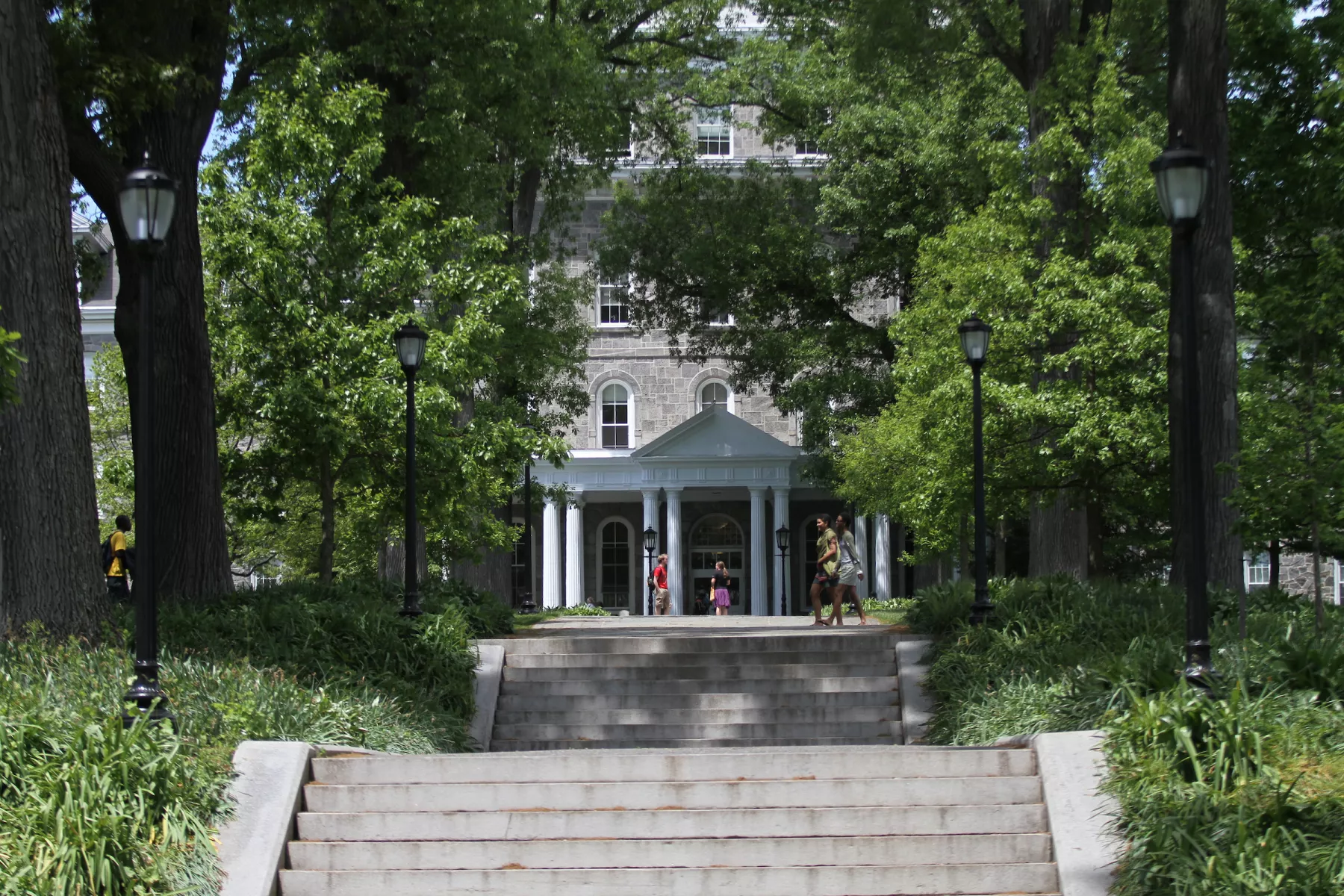 Photo of Magill Walk leading up to Parrish Hall.