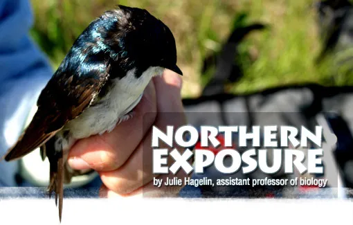 Northern Exposure by Julie Hagelin, assistant professor of biology