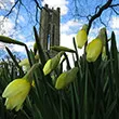 Flowers in front of Clothier Hall