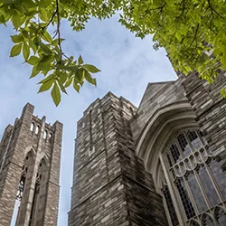 Clothier bell tower and Tarble shrouded in leaves