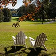 Chairs on Parrish beach overlooking Magill Walk